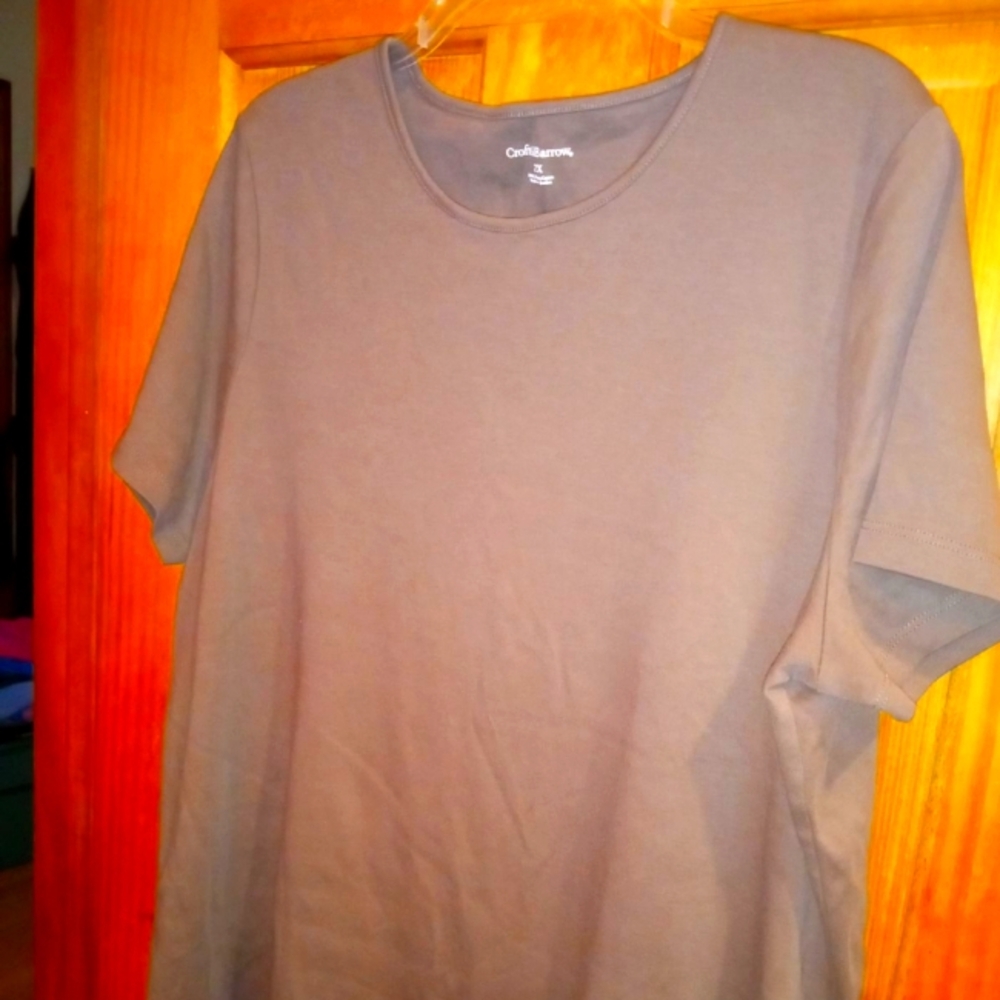 Croft & Barrow Size 2x brown T-shirt $10.00
